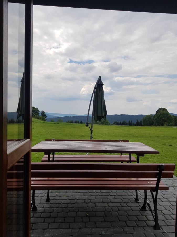Villa Gniewnik à Pcim Extérieur photo