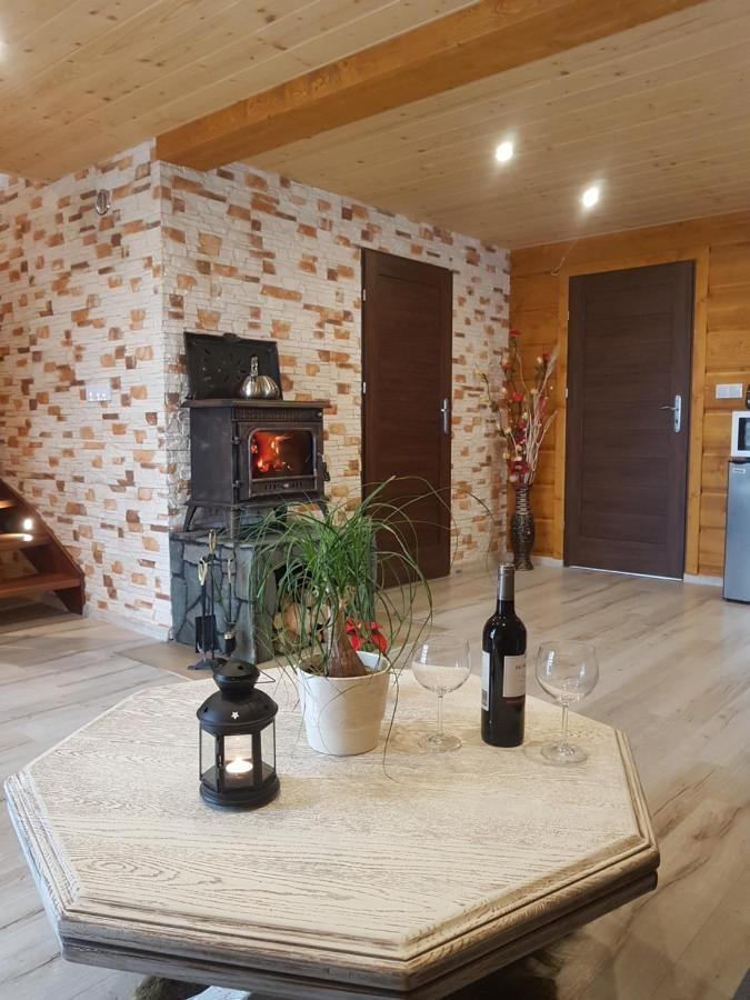Villa Gniewnik à Pcim Extérieur photo